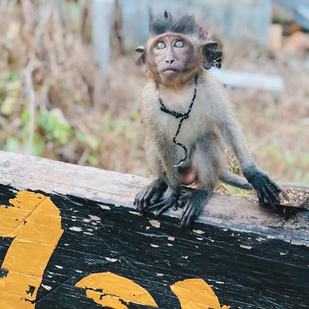 Monkey Bungalow Ko Lanta Esterno foto