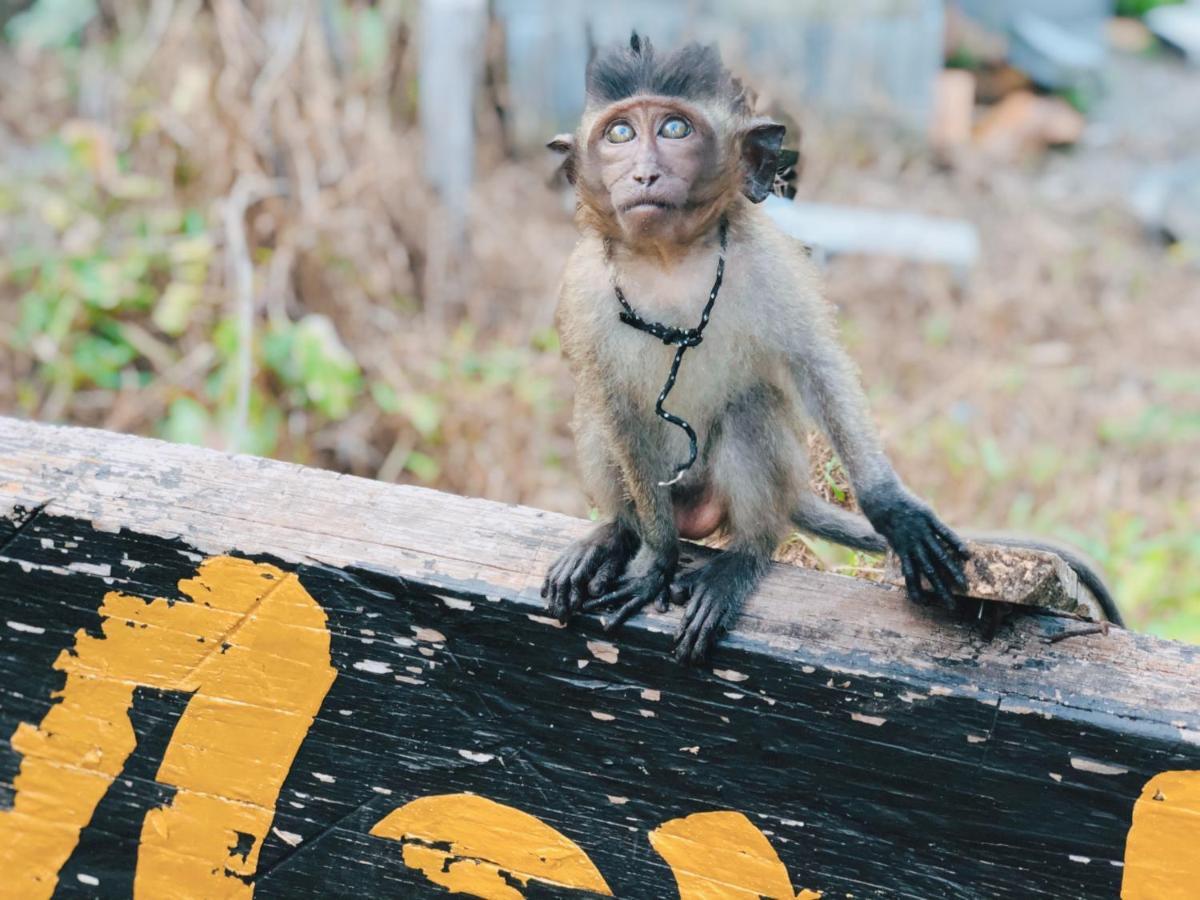 Monkey Bungalow Ko Lanta Esterno foto