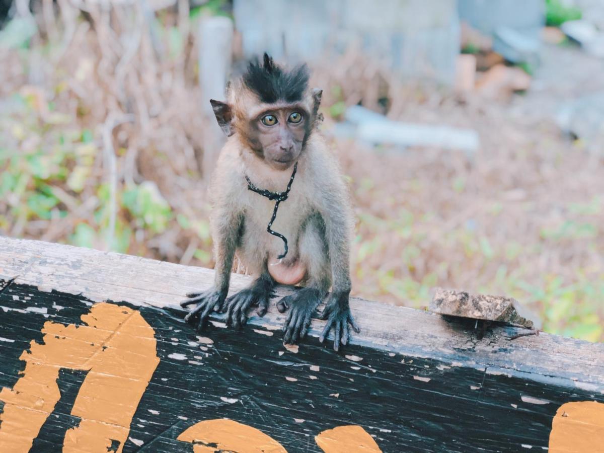 Monkey Bungalow Ko Lanta Esterno foto